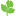 Koriander